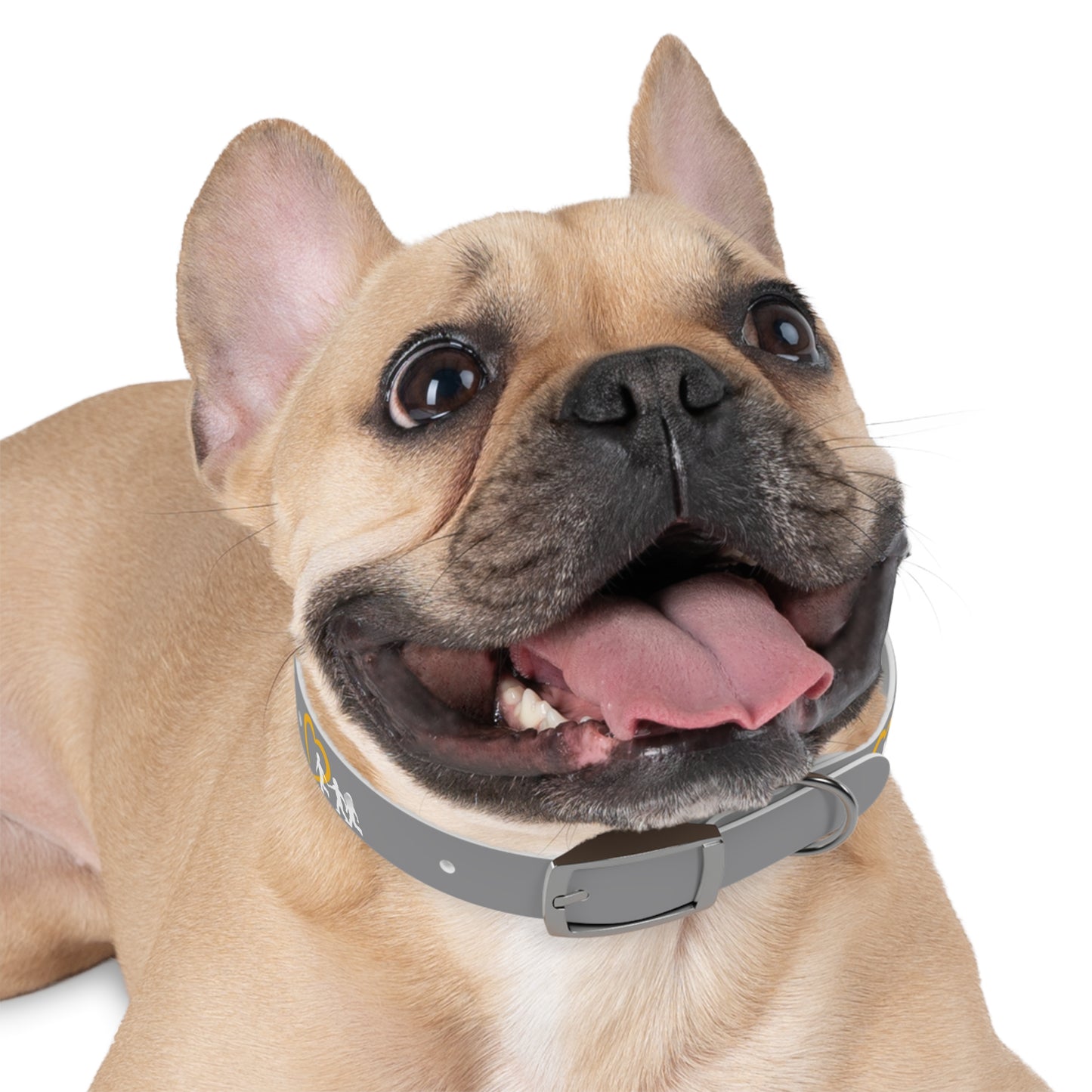 NCMEC Pet Collar