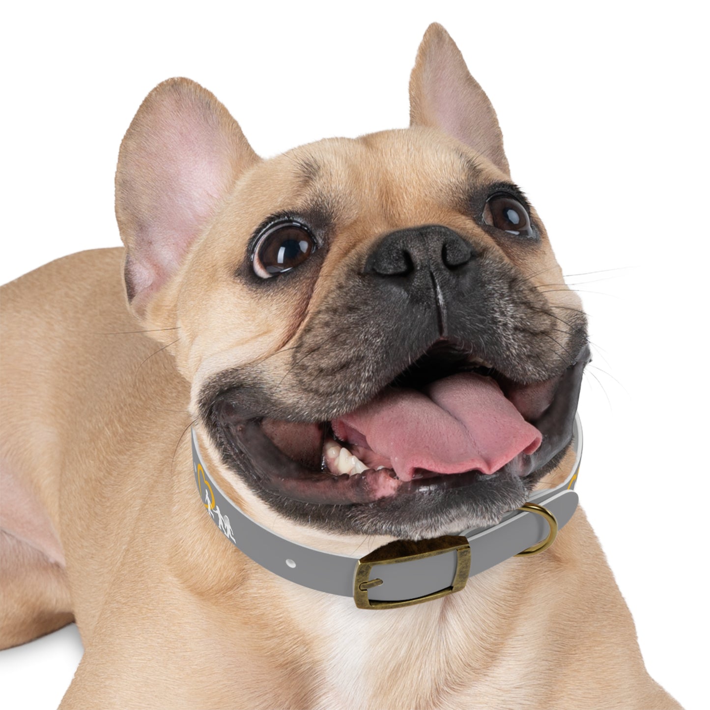 NCMEC Pet Collar