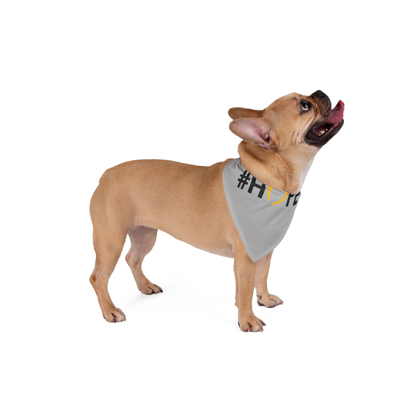 #Hope Pet Bandana