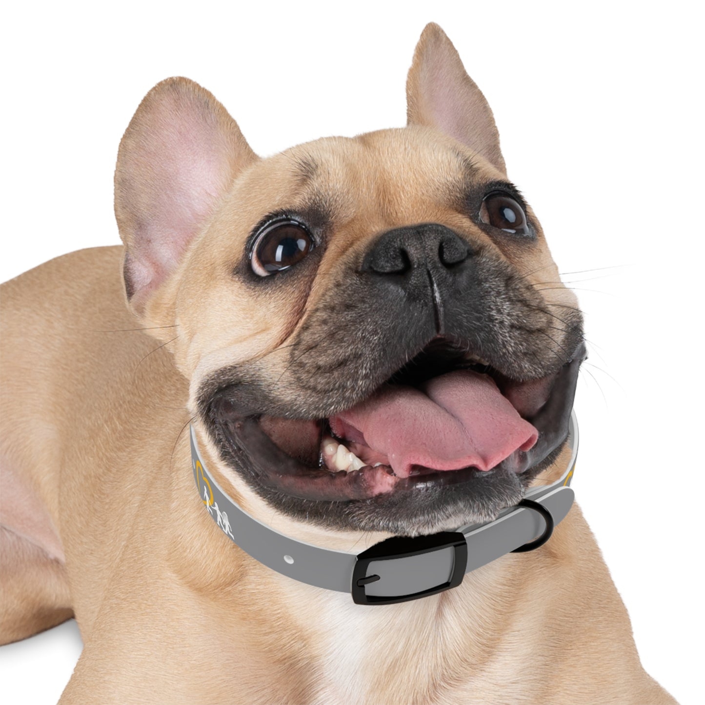 NCMEC Pet Collar
