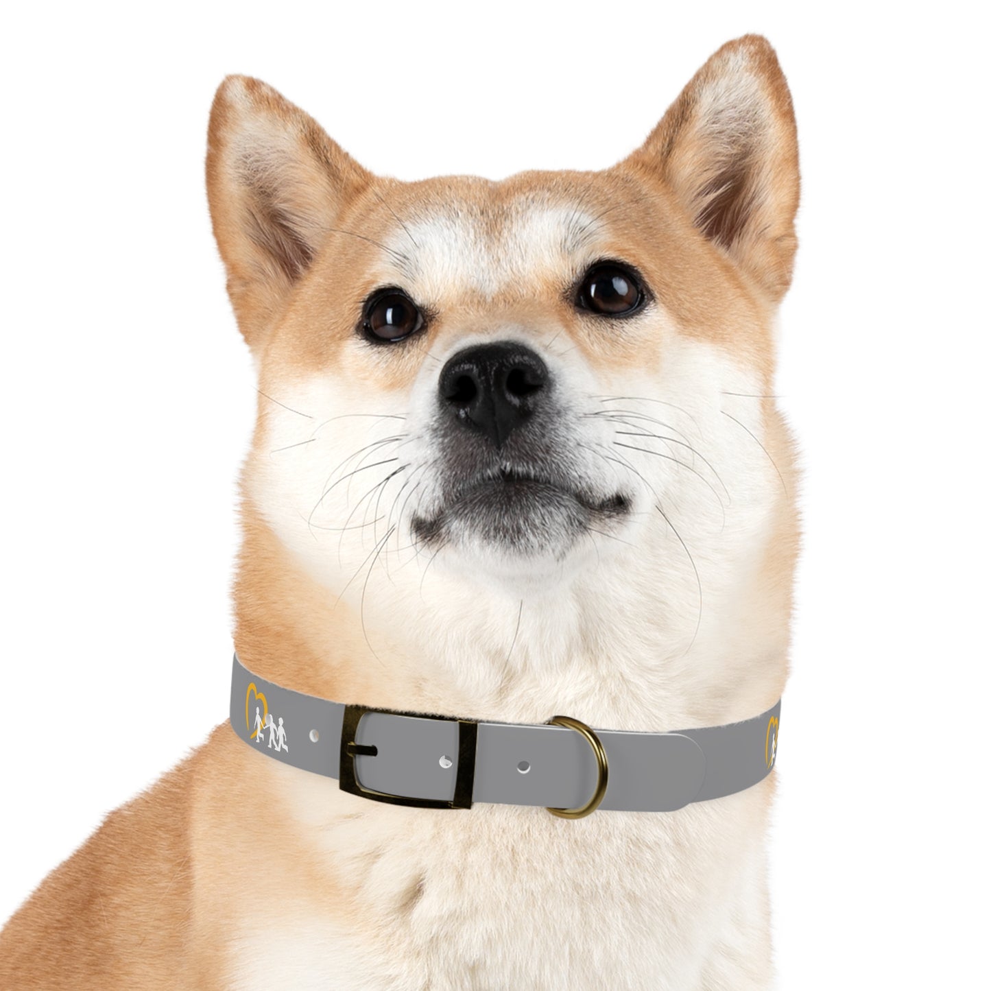 NCMEC Pet Collar