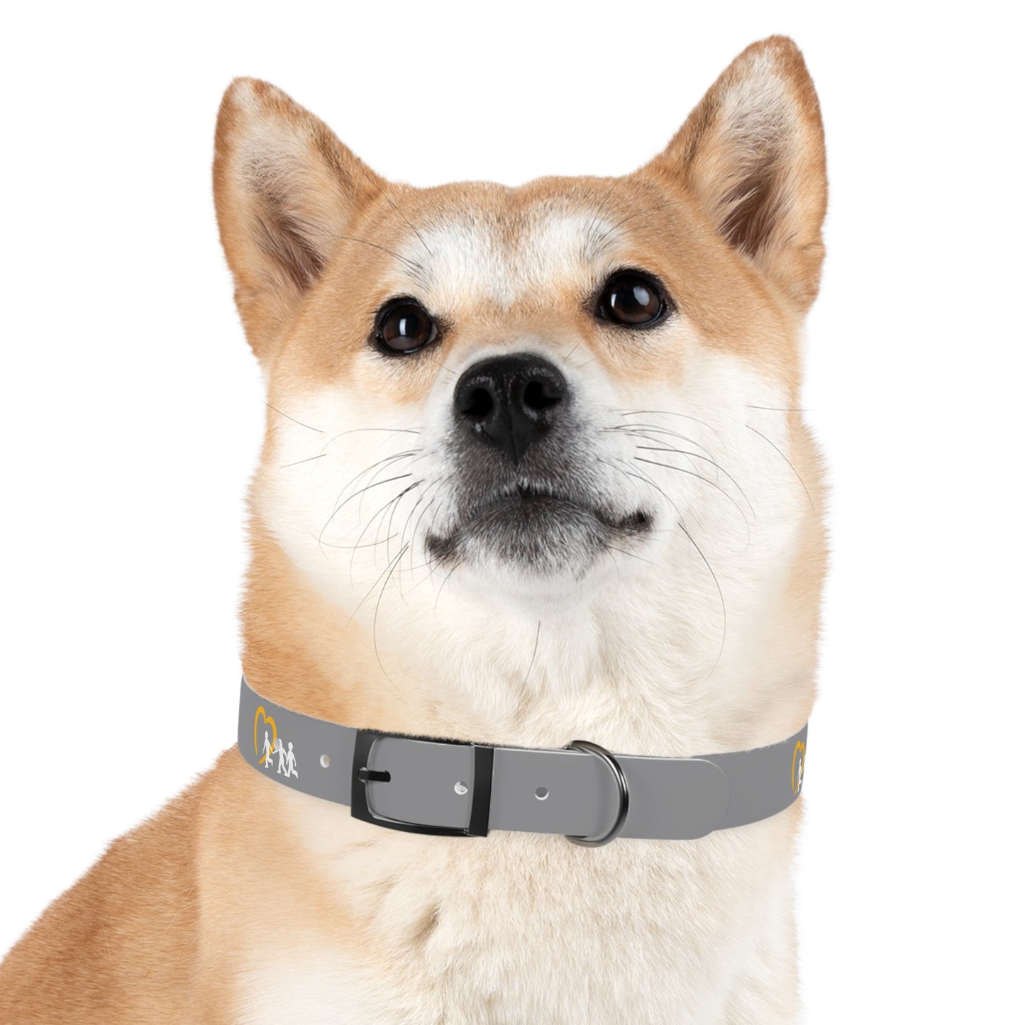 NCMEC Pet Collar